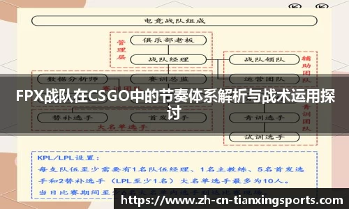 FPX战队在CSGO中的节奏体系解析与战术运用探讨
